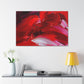 Joyful Jubilee Jasper - Canvas