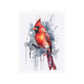 Cardinal Watercolor - Poster